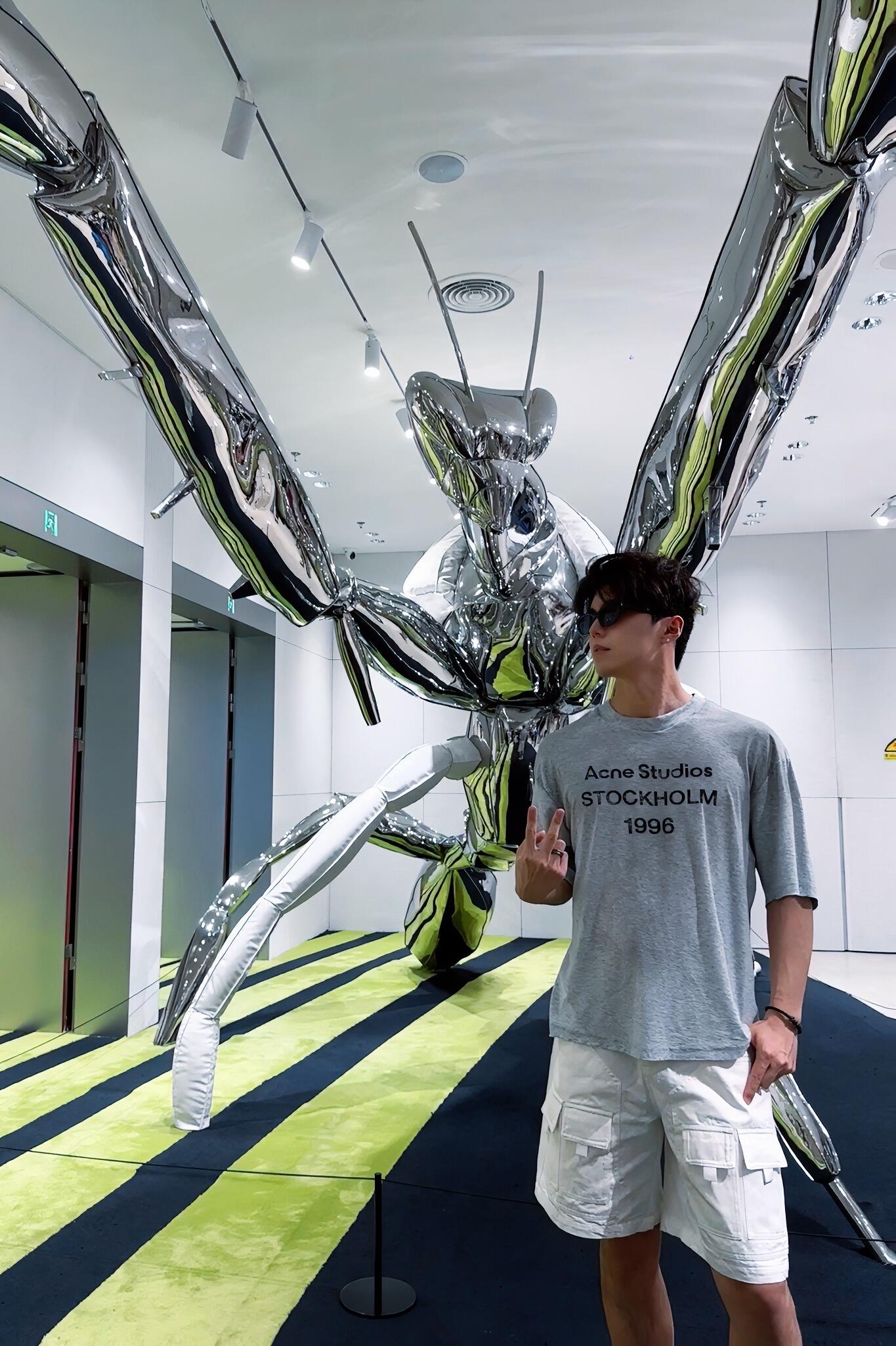 アクネ ストゥディストーションズ プリント入りダメージ加工ロゴ入り半袖Tシャツ、グレー 詳細画像 1