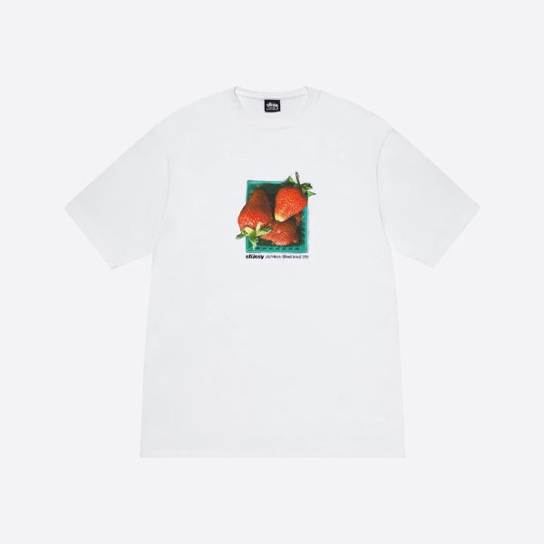 ステューシー ストロベリープリント クルーネック 半袖Tシャツ